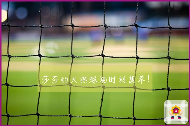 莎莎的火热球场时刻集萃!